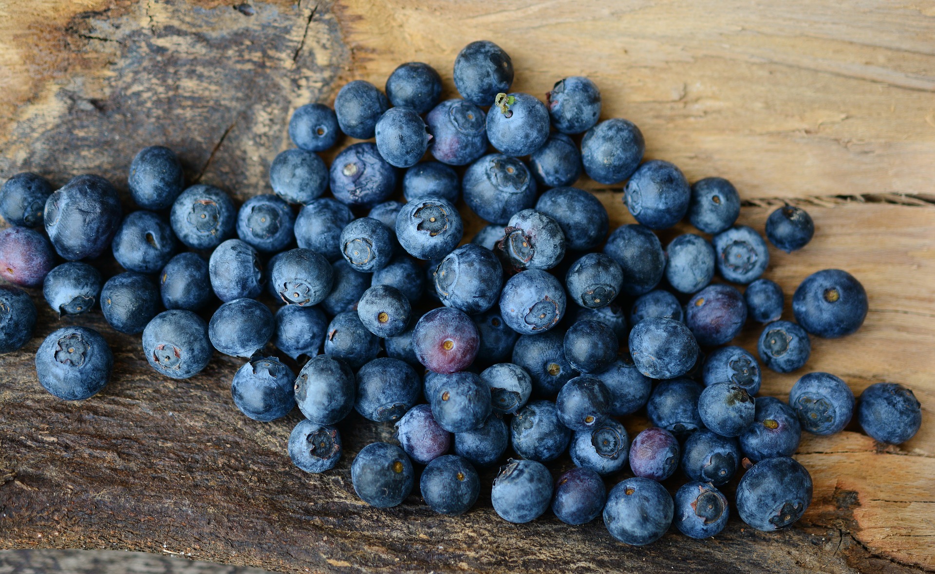 Finnischer Blaubeerkuchen