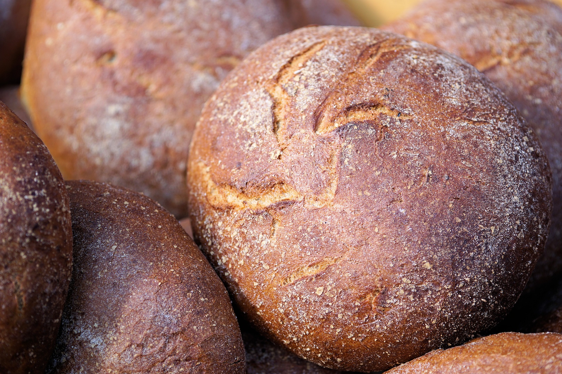 Käse – Brot